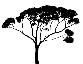 Maniplation of frame 