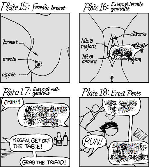 Ottercomic of 631