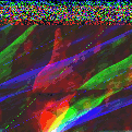 balthasar_ss avatar