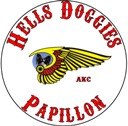 cellocgws avatar