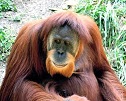waveneys avatar