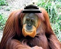 waveneys avatar