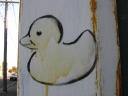 xpatiates avatar