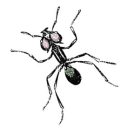 f0rmicUlas avatar