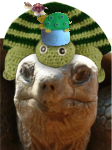 ZoomanSPs avatar