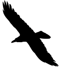 bmonks avatar